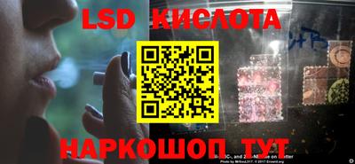 Альфа ПВП Кандалакша