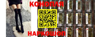 Альфа ПВП Кандалакша