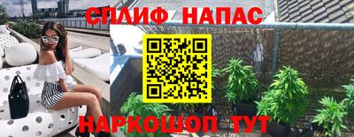 ПСИЛОЦИБИНОВЫЕ ГРИБЫ Канаш