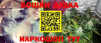 ПСИЛОЦИБИНОВЫЕ ГРИБЫ Канаш