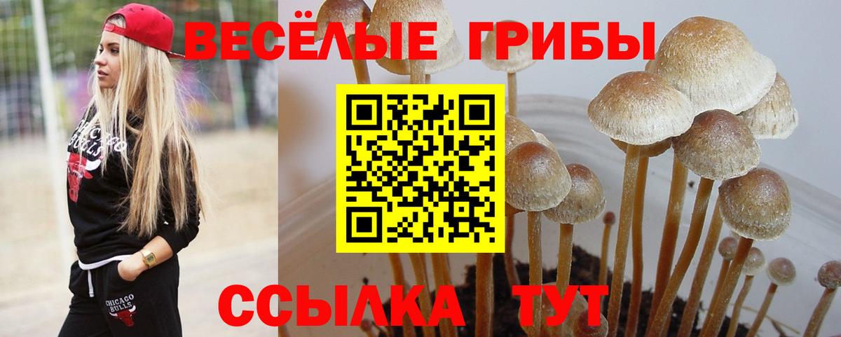 Псилоцибиновые грибы мухоморы Костомукша